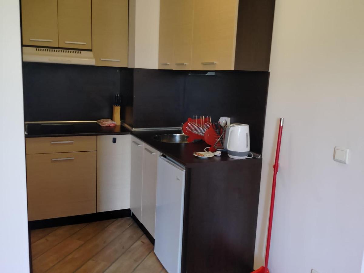 Alpine Lodge Bansko Apartments Bagian luar foto