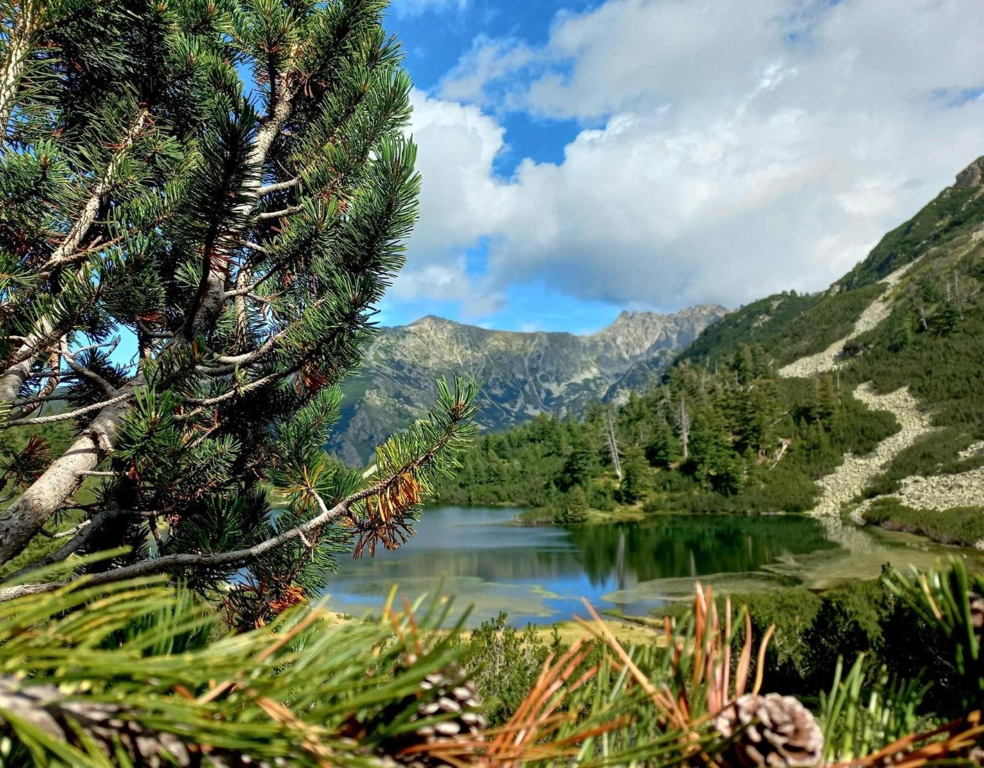 Alpine Lodge Bansko Apartments Bagian luar foto