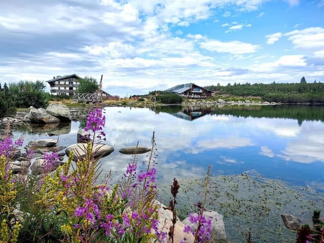 Alpine Lodge Bansko Apartments Bagian luar foto